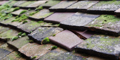 Parson Drove roof repair costs